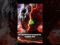Panspermia Theory