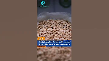 السعودية تحبط محاولة تهريب نحو 15 حبة كبتاجون 