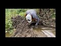 REMOVING BEAVER DAM FROM THE CULVERT