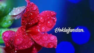 Yokluğundan. Duygusal Bağlamalı Fon Müziği. Telifsiz.