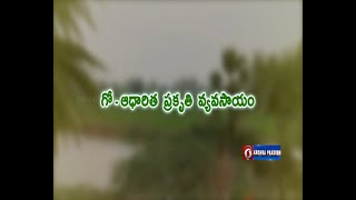 పసిడి పంటలు || గో-ఆధారిత ప్రకృతి వ్యవసాయం || 13.09.23    06.00pm  @DoordarshanSaptagiri