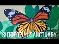 Hotel Phuket Marriott Resort &amp; Spa, Merlin Beach: Butterfly Sanctuary 2024, Thailand