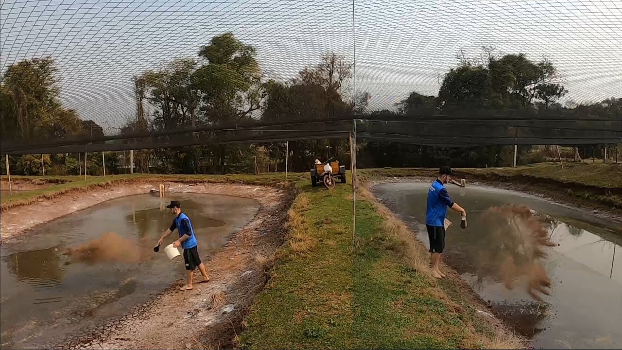Preparo dos viveiros !! Calagem e adubação