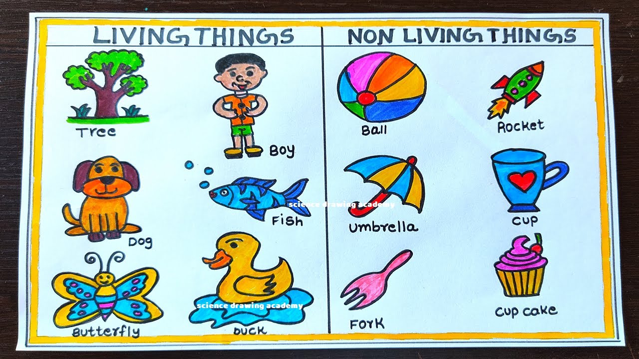 living things and non living things drawing poster simple and easy ...