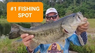 Highway Fishing!! Best Fishing Spot Ever!! Florida Bass Fishing!! #fishing #bass #foryou #fyp