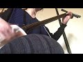 【Bad Apple‼︎】三味線だけで弾いてみたら火傷したぜ