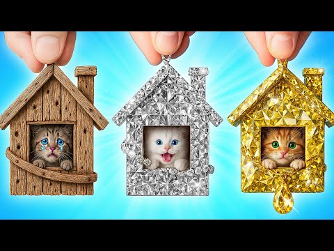 Я Спасла Бездомных Животных | Смешные Моменты от Multi DO Smile