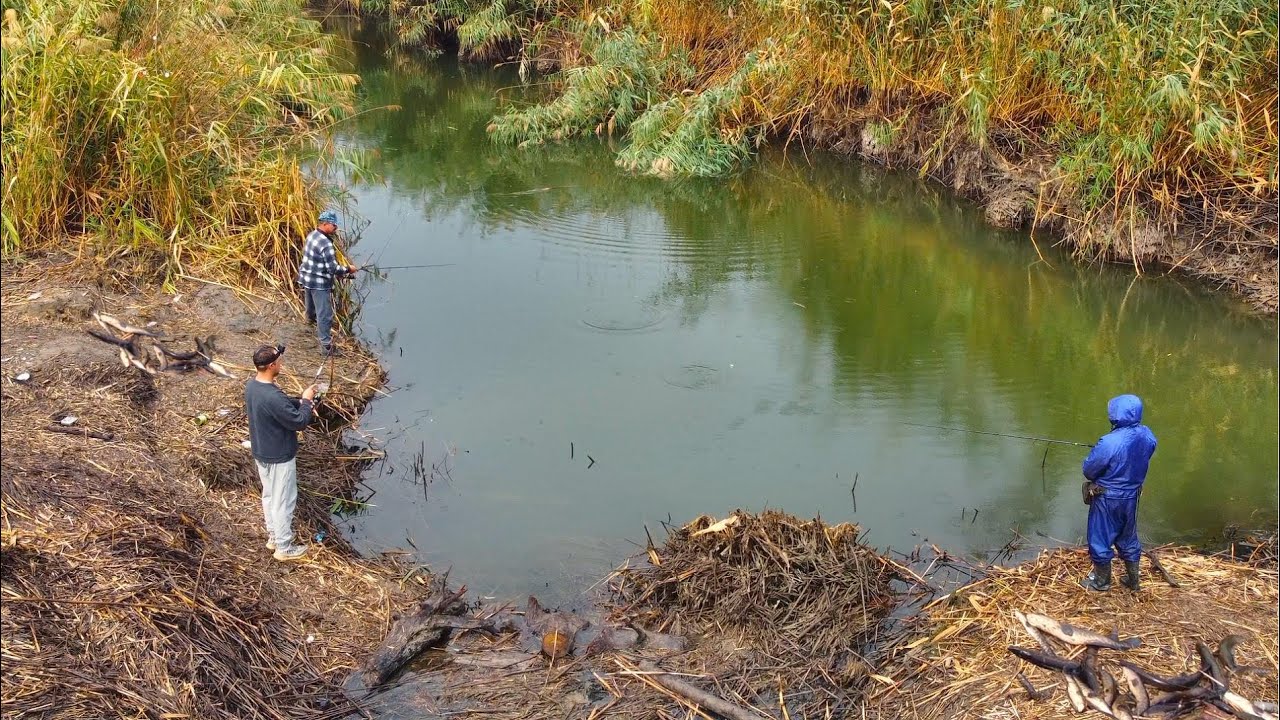 НАШЛИ ЯМУ В РУЧЬЕ ГДЕ СТОИТ ВСЯ РЫБА И ПОНЕСЛОСЬ ОДИН ЗА ДРУГИМ! ЭТОТ РУЧЕЙ КИШИТ РЫБОЙ!!!!
