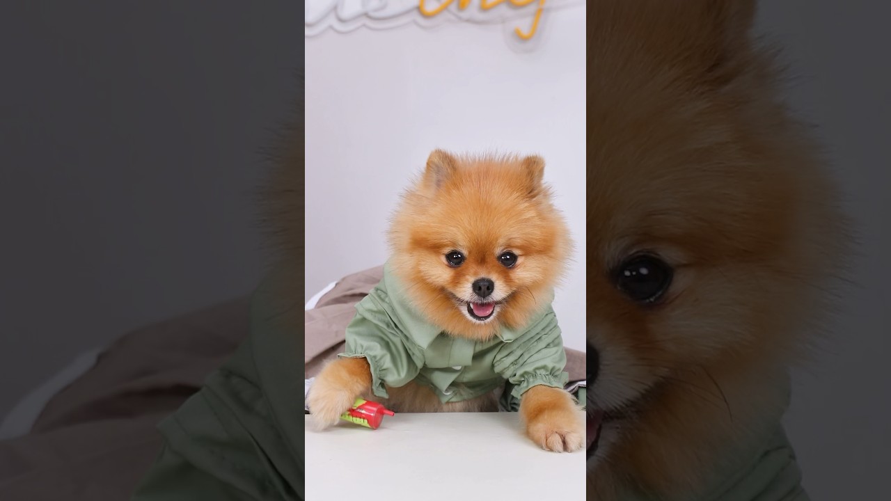 Coco hopes you can relax and enjoy together!🥳👍🏻🤫🤫