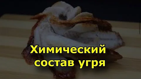Химический состав угря.