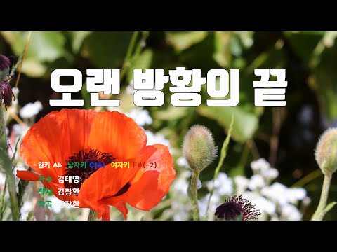 [은성 반주기] 오랜방황의끝 - 김태영