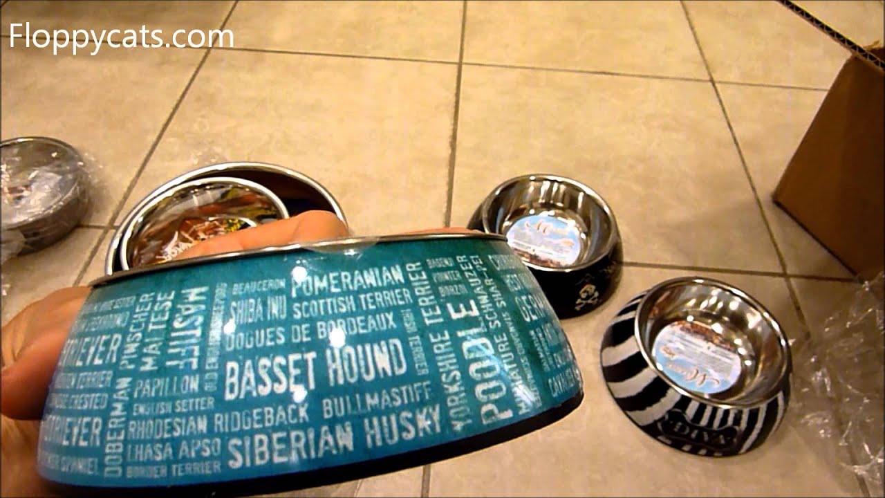 Ragdoll Cats Receive Loving Pets Milano Designer Cat Bowls for Review - ねこ - ラグドール - Floppycats