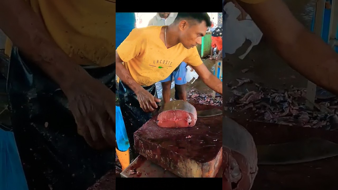 Amazing Fast Fish Cutting skills | You Never Seen Before 
