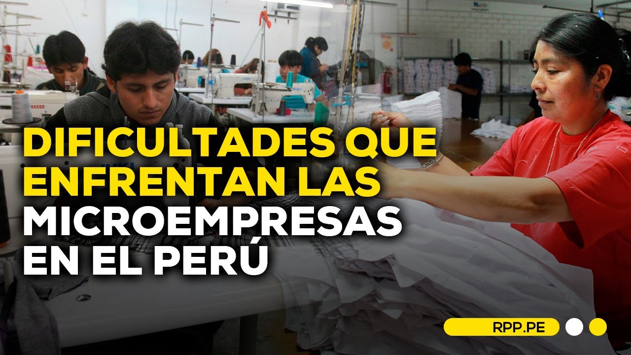 Importancia de las microempresas y las pequeñas y medianas empresas en la economía peruana