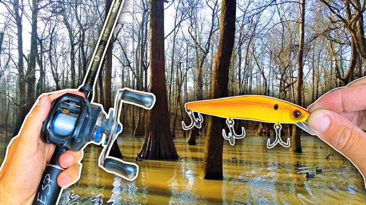 This SECRET Bait Mod Catches 10X More Spring Bass!!