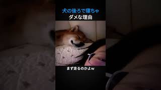 寝ながらでも走れるんだ