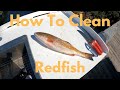 How to Clean Redfish