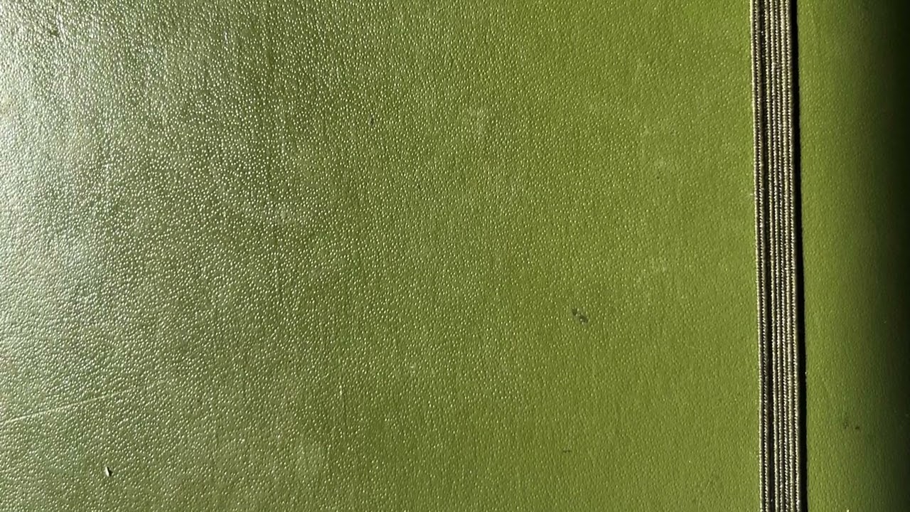 Thomas Flowers - Troublemaker (Audio)