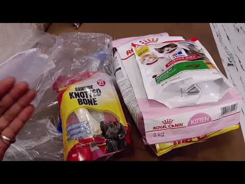 persian kitten food ! royal canin kitten food!