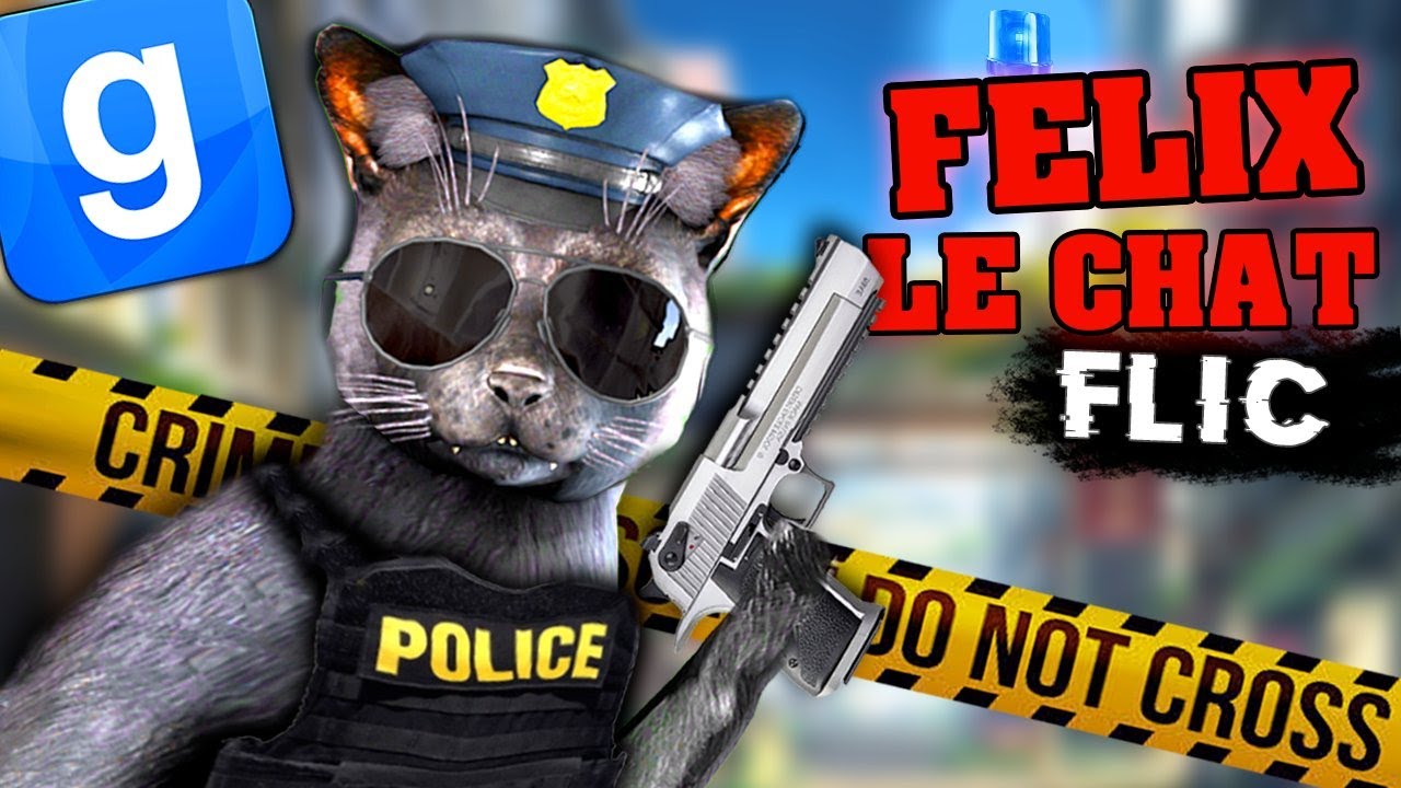 FELIX LE CHAT FLIC #2 - GARRY'S MOD DARKRP