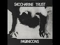 SACCHARINE TRUST - Paganicons LP (1981)