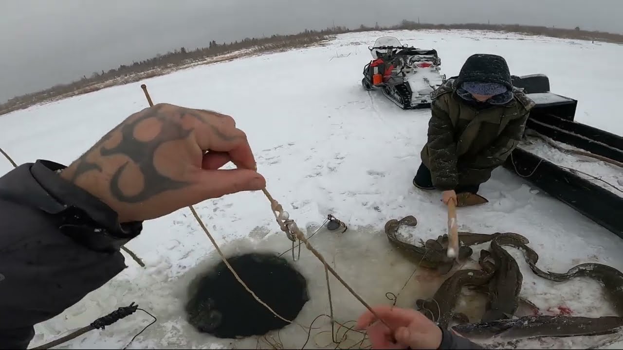 Не диалоги о рыбалке 2025г последние видео