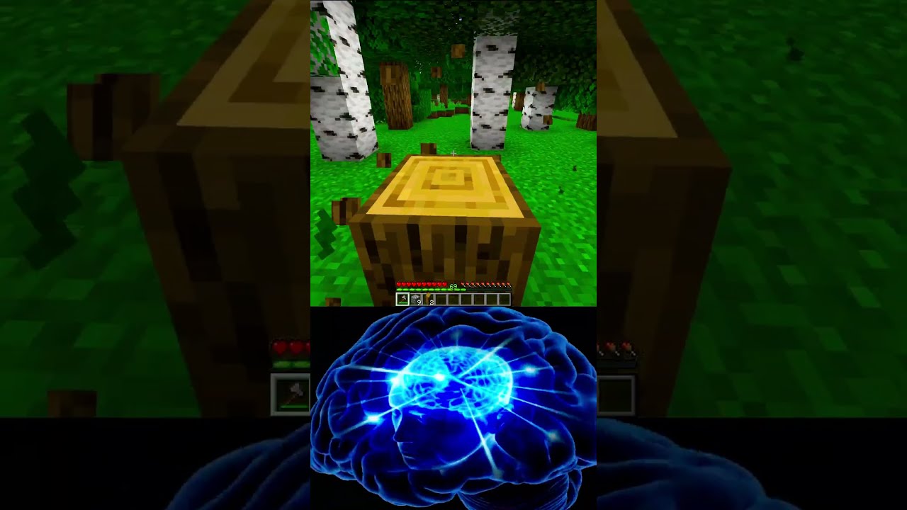  6923 IQ Vs 6969 Minecraft World S Smallest Violin Shorts