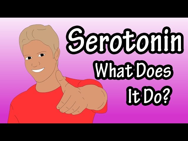 Serotonin Neurotransmitter - What Is Serotonin - Functions Of Serotonin class=