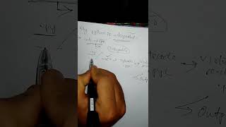 Why python is Interpreted language in hindi | Conceptual CS #ytshorts #shorts