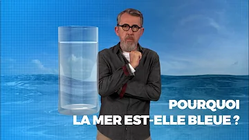 Pourquoi Dit-on bleu merle ?