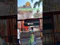 Tirumala Parakamani #tirumalatirupatiinfobykhm #tirupati #tirumala #balaji #ttd #tirupatibalaji