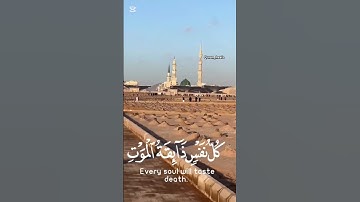 يا عبادي الذين آمنوا إن أرضي واسعة فإياي فاعبدون ~سورة العنكبوت ، عبد الرحمن مسعد #ارح_قلبك #قرآن