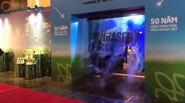 Màn sương nghệ thuật tuyệt đẹp | UNION JSCO