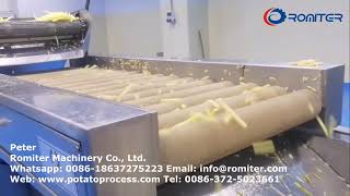 خط إنتاج البطاطس المقلية المجمدة الأوتوماتيكي لعملاء تركيا