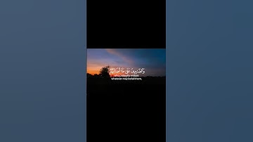 راحة قلبك تبدأ من هنا... استمع لآيات من كلام الله، واملأ يومك بنور القرآن.  #قرآن #تدبر #طمأنينة