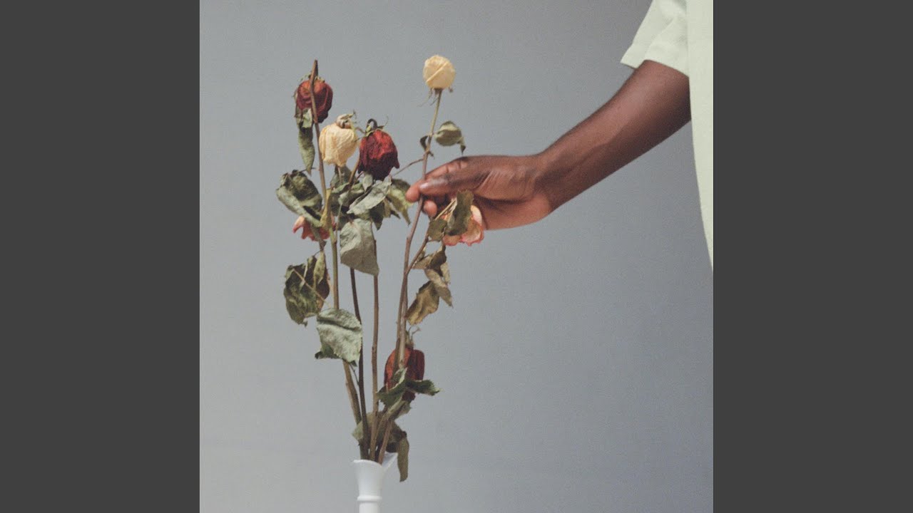 WILT auf YouTube ansehen WILT auf YouTube ansehen