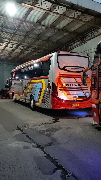 PO Bus Rosalia Indah #rosalia #bus #bismania