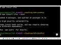 NPM usage 8