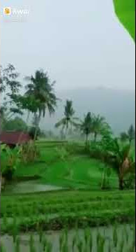 suling sunda