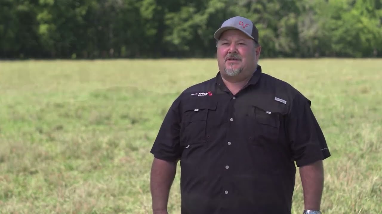 Healthy Pastures Are the Foundation for a Healthy Herd