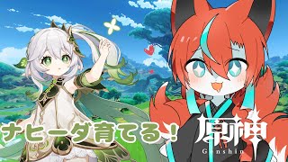 【#原神 】ナヒーダのためにキノコ集める🦊✨その56【Vtuber/伯道リル】