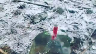 Dum Bum 30 (in the forest)