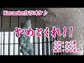北川裕二【やめとくれ!!  】カラオケ ’19/1/23発売 新曲