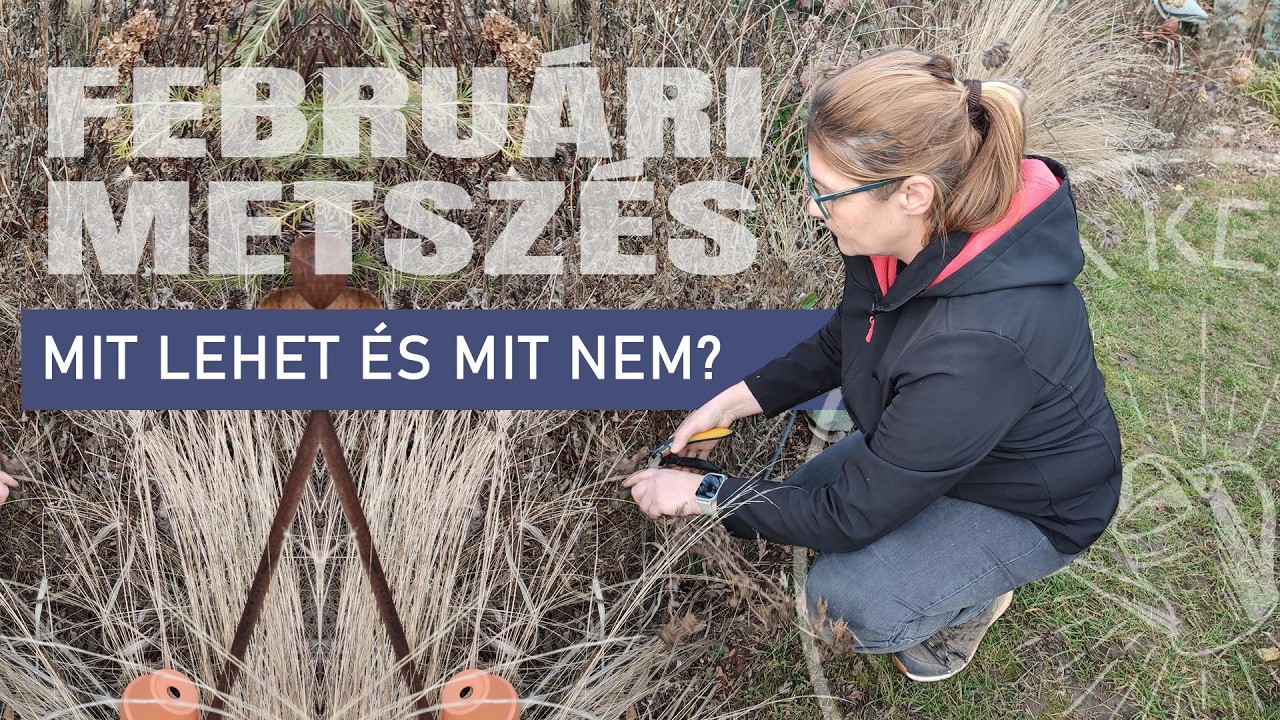 FEBRUÁRI kerti munkák. Mit vágj vissza és mit ne a fagyok előtt?