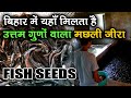 बिहार में Best Quality Fish Farming Seeds कहाँ से ले ?  - MACHHLI KA JEERA- Fish Farmer PRANAV SINGH