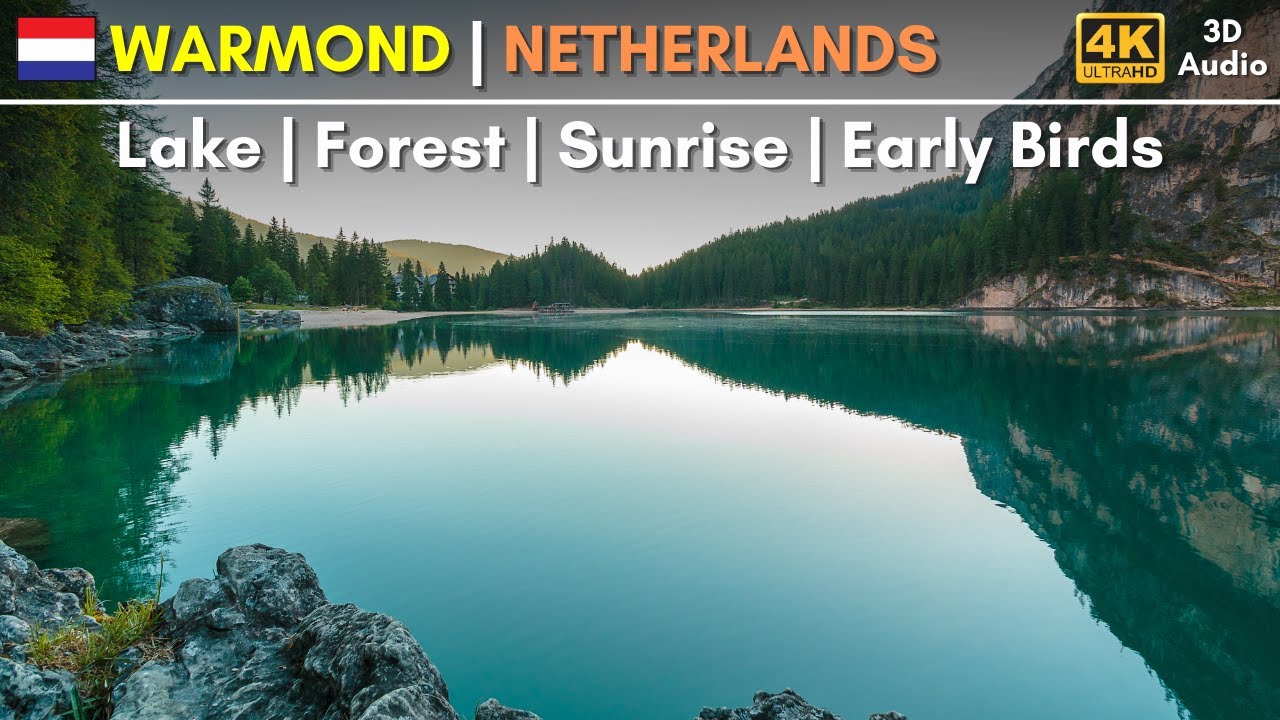 4K Nature Walk: NETHERLANDS | Warmond | Lake | Forest | Sunrise | 3D Binaural Audio