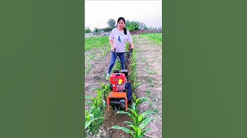 micro-tillage machine  2025 is passion # Gasoline weeding and trenching machine