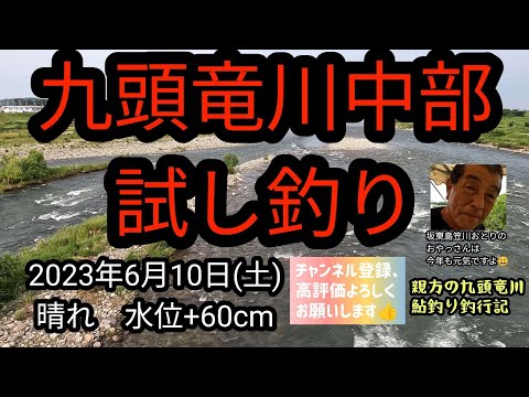 九頭竜川中部　鮎釣り　試し釣り　2023年6月10日(土)晴れ水位+60cm　解禁1週間前