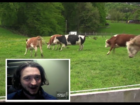 A 10-Sec Happy Video That Might Make You Stop Eating Meat - MOC