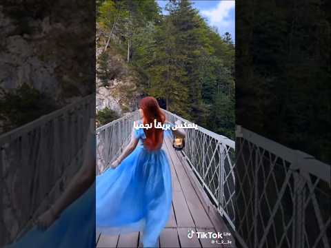 قد كان لقاء سحريا اغاني اقتباسات حالات واتس سبيستونيات لايك شلتنا سيباستون اكسبلور